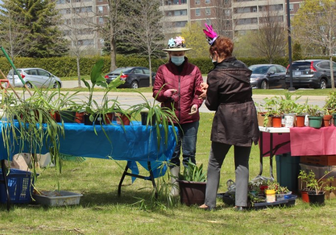 Plant sale table with customer