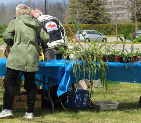 Plant sale table with customer